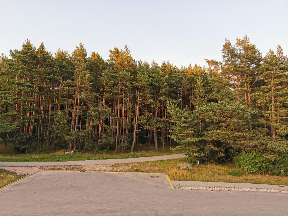 Melnrage Beach Cozy Apartments & Terrace - Pine View Sea Entry Klaipėda Esterno foto